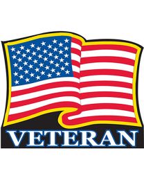 PATCH-USA VETERAN,WAVY (3-1/2")