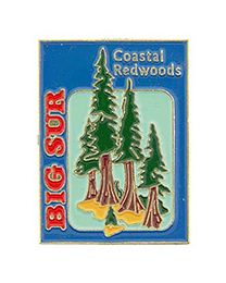 PIN-CA,BIG SUR,REDWOODS (1")