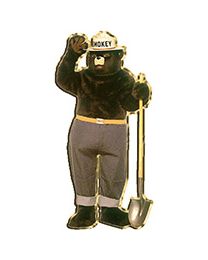 PIN-FIRE,SMOKEY THE BEAR (1")