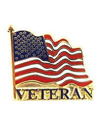 PIN-USA FLAG,VETERAN WAVY (1")
