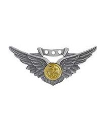 WING-USN,COMBAT AIRCREW (2")