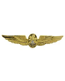WING-USN,FLIGHT SURGEON (2-3/4")